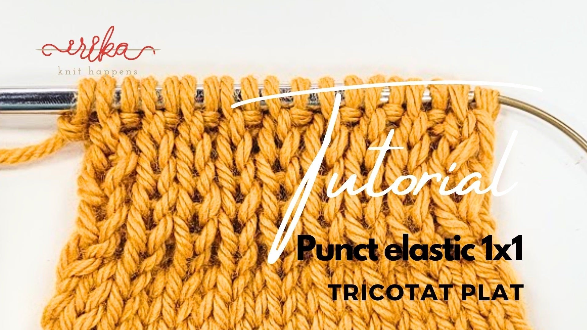 Punct elastic 1x1 - tricotat plat