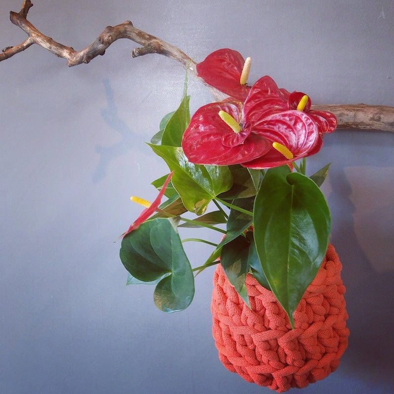 Suport ghiveci croșetat Bobbiny Jumbo