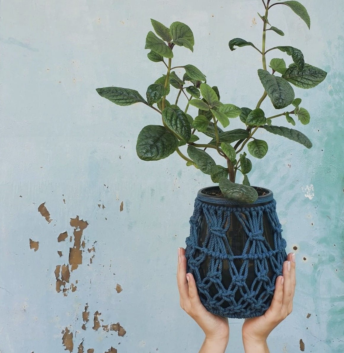 Decor ghiveci din șnur triplu-răsucit Bobbiny, 3 mm