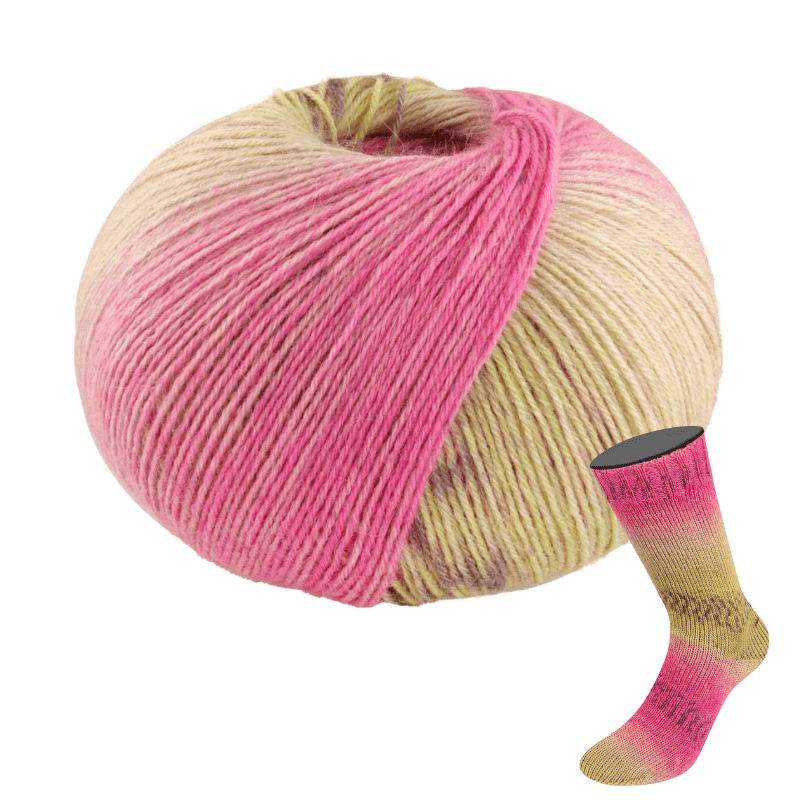 MW 100 Alpaca Print - fir variegat de alpaca cu poliamidă